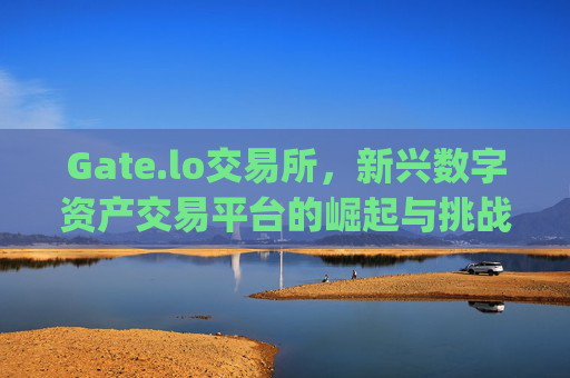 Gate.lo交易所，新兴数字资产交易平台的崛起与挑战 gate.lo交易所
