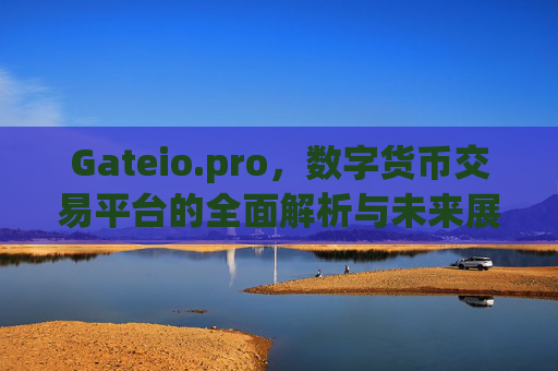 Gateio.pro，数字货币交易平台的全面解析与未来展望 gateio.pro