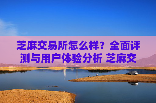 芝麻交易所怎么样？全面评测与用户体验分析 芝麻交易所怎么样