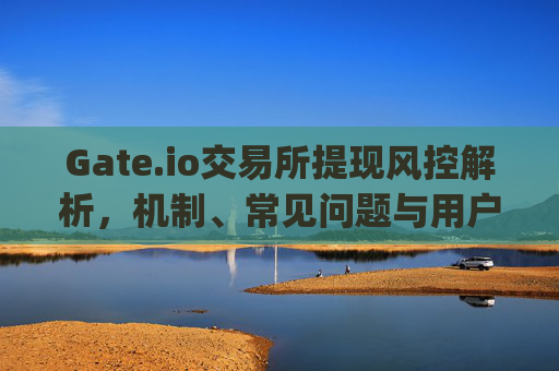 Gate.io交易所提现风控解析，机制、常见问题与用户应对策略 gateio交易所提现风控