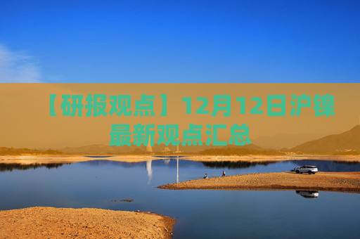 【研报观点】12月12日沪镍最新观点汇总