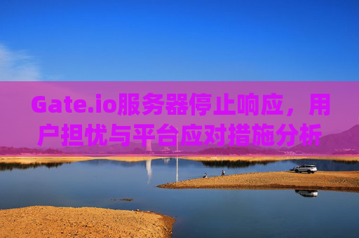 Gate.io服务器停止响应，用户担忧与平台应对措施分析 gateio服务器停止响应