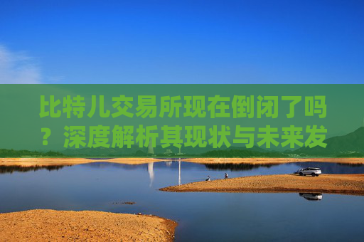 比特儿交易所现在倒闭了吗？深度解析其现状与未来发展 比特儿现在是倒闭了吗