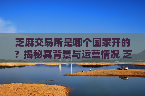 芝麻交易所是哪个国家开的？揭秘其背景与运营情况 芝麻交易所是哪个国家开的