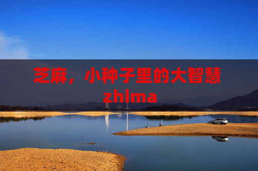 芝麻，小种子里的大智慧 zhima