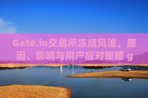 Gate.io交易所冻结风波，原因、影响与用户应对策略 gate.io交易所冻结