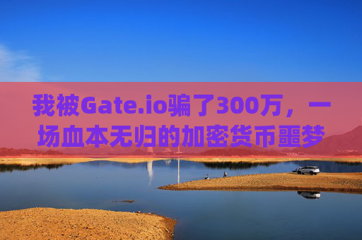 我被Gate.io骗了300万，一场血本无归的加密货币噩梦 被gateio骗了300万-第1张图片-大猪科技网