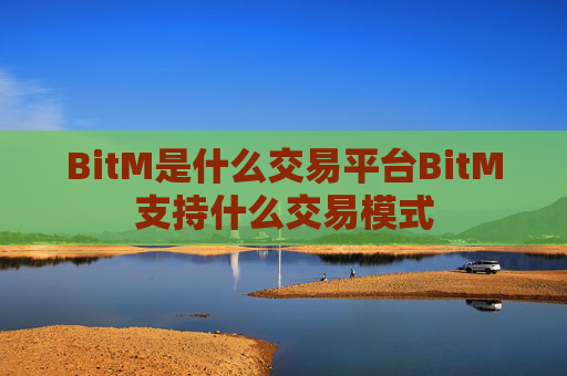 BitM是什么交易平台BitM支持什么交易模式