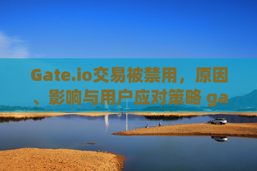 Gate.io交易被禁用，原因、影响与用户应对策略 gate.io交易被禁用