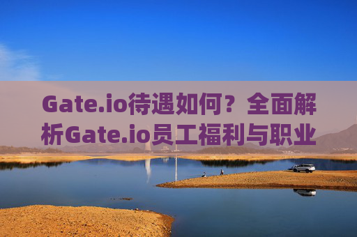 Gate.io待遇如何？全面解析Gate.io员工福利与职业发展 gateio待遇如何-第1张图片-大猪科技网