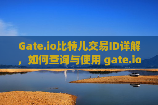 Gate.io比特儿交易ID详解，如何查询与使用 gate.io比特儿交易id