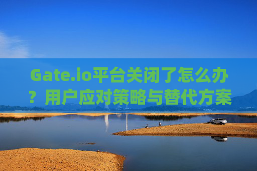 Gate.io平台关闭了怎么办？用户应对策略与替代方案 gateio平台关闭了怎么办