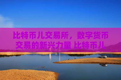 比特币儿交易所，数字货币交易的新兴力量 比特币儿交易所