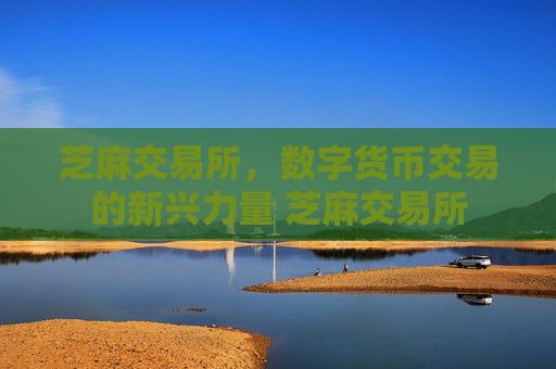 芝麻交易所，数字货币交易的新兴力量 芝麻交易所