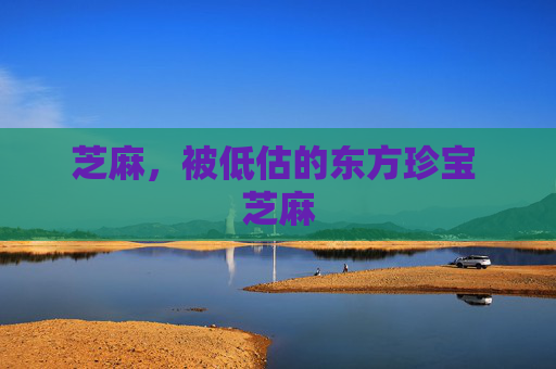 芝麻，被低估的东方珍宝 芝麻