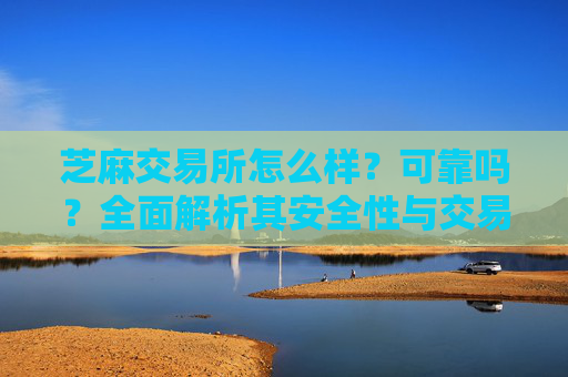 芝麻交易所怎么样？可靠吗？全面解析其安全性与交易体验 芝麻交易所怎么样可靠吗