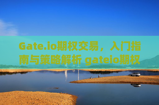 Gate.io期权交易，入门指南与策略解析 gateio期权交易