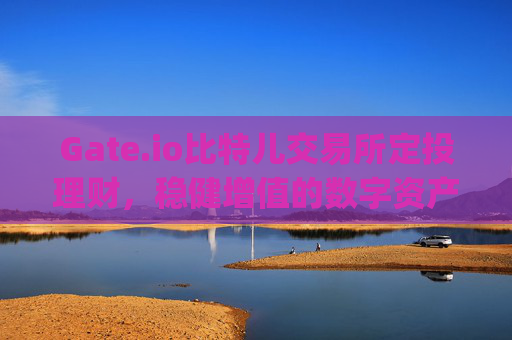 Gate.io比特儿交易所定投理财，稳健增值的数字资产投资策略 gate.io比特儿交易所定投理财