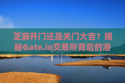 芝麻开门还是关门大吉？揭秘Gate.io交易所背后的潜在风险与骗局疑云 芝麻开门gate.io交易所骗局