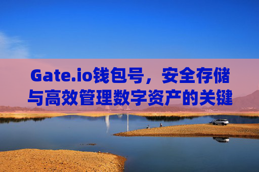 Gate.io钱包号，安全存储与高效管理数字资产的关键 gateio钱包号