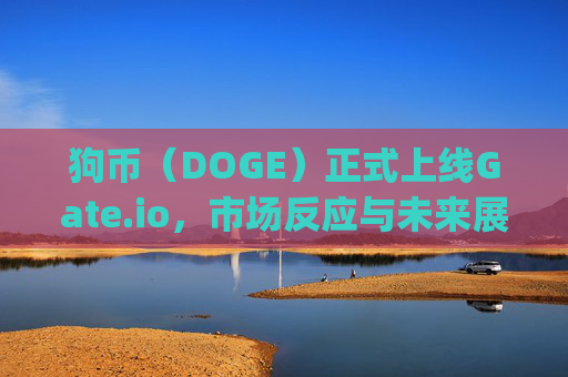 狗币（DOGE）正式上线Gate.io，市场反应与未来展望 狗币上线gateio