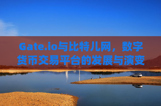 Gate.io与比特儿网，数字货币交易平台的发展与演变 gateio是比特儿网