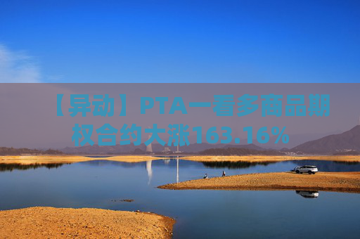 【异动】PTA一看多商品期权合约大涨163.16%