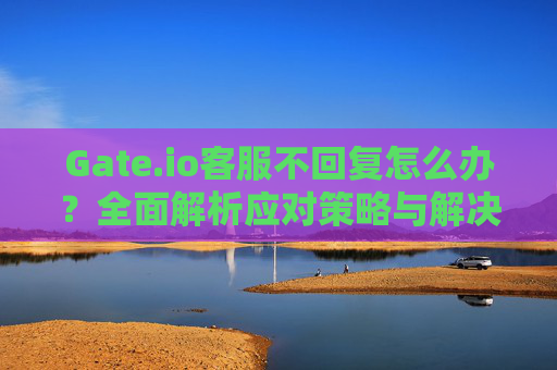 Gate.io客服不回复怎么办？全面解析应对策略与解决方案