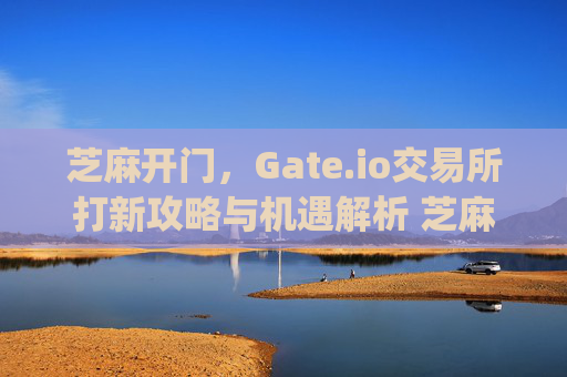 芝麻开门，Gate.io交易所打新攻略与机遇解析 芝麻开门gate.io交易所打新