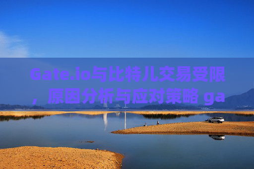 Gate.io与比特儿交易受限，原因分析与应对策略 gate.io比特儿不能交易