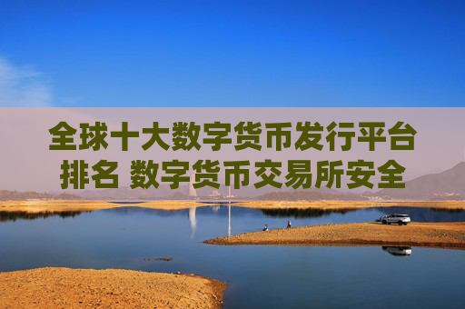 全球十大数字货币发行平台排名 数字货币交易所安全性与功能全面解析