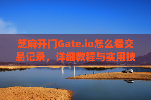 芝麻开门Gate.io怎么看交易记录，详细教程与实用技巧 芝麻开门gate.io怎么看交易记录