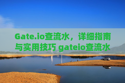 Gate.io查流水，详细指南与实用技巧 gateio查流水