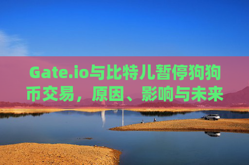 Gate.io与比特儿暂停狗狗币交易，原因、影响与未来展望 gate.io比特儿 狗狗币不能交易