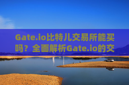 Gate.io比特儿交易所能买吗？全面解析Gate.io的交易功能与安全性 gate.io比特儿交易所能买吗