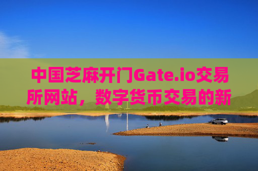 中国芝麻开门Gate.io交易所网站，数字货币交易的新选择 中国芝麻开门gate.io交易所网站