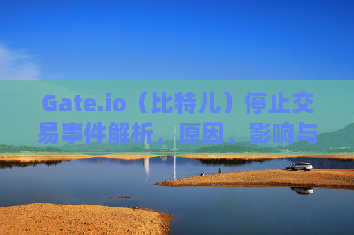 Gate.io（比特儿）停止交易事件解析，原因、影响与用户应对策略 gate.io比特儿停止交易
