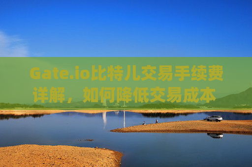 Gate.io比特儿交易手续费详解，如何降低交易成本 gate.io比特儿交易手续费-第1张图片-大猪科技网