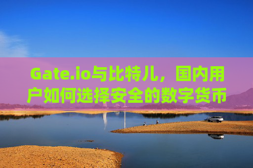 Gate.io与比特儿，国内用户如何选择安全的数字货币交易平台 gate.io比特儿国内交易平台-第1张图片-大猪科技网