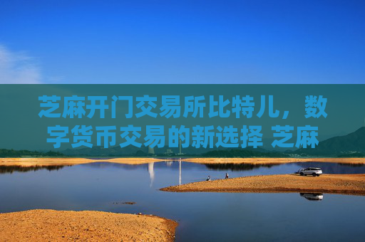 芝麻开门交易所比特儿，数字货币交易的新选择 芝麻开门交易所比特儿