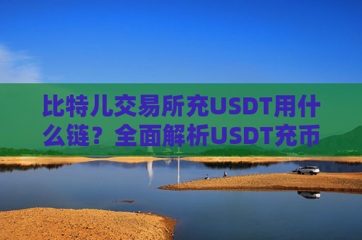 比特儿交易所充USDT用什么链？全面解析USDT充币网络选择 比特儿交易所充usdt用什么链
