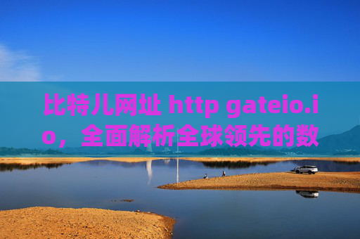 比特儿网址 http gateio.io，全面解析全球领先的数字货币交易平台 比特儿网址 http gateio.io