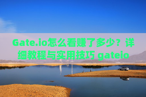 Gate.io怎么看赚了多少？详细教程与实用技巧 gateio怎么看赚了多少