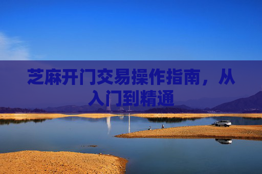 芝麻开门交易操作指南，从入门到精通