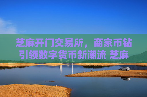 芝麻开门交易所，商家币钻引领数字货币新潮流 芝麻开门交易所商家币钻