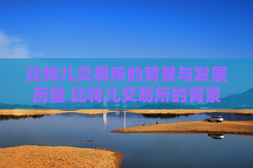 比特儿交易所的背景与发展历程 比特儿交易所的背景