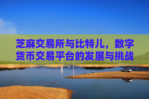 芝麻交易所与比特儿，数字货币交易平台的发展与挑战 芝麻交易所比特儿
