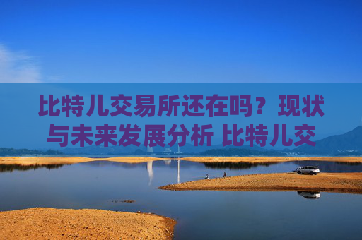比特儿交易所还在吗？现状与未来发展分析 比特儿交易所还在吗
