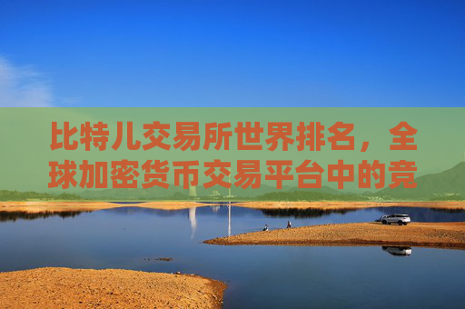 比特儿交易所世界排名，全球加密货币交易平台中的竞争力分析 比特儿交易所世界排名
