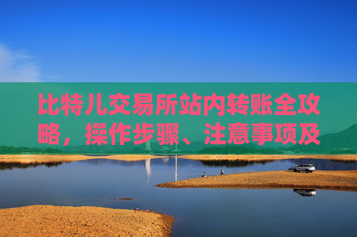 比特儿交易所站内转账全攻略，操作步骤、注意事项及常见问题解答 比特儿交易所站内转账